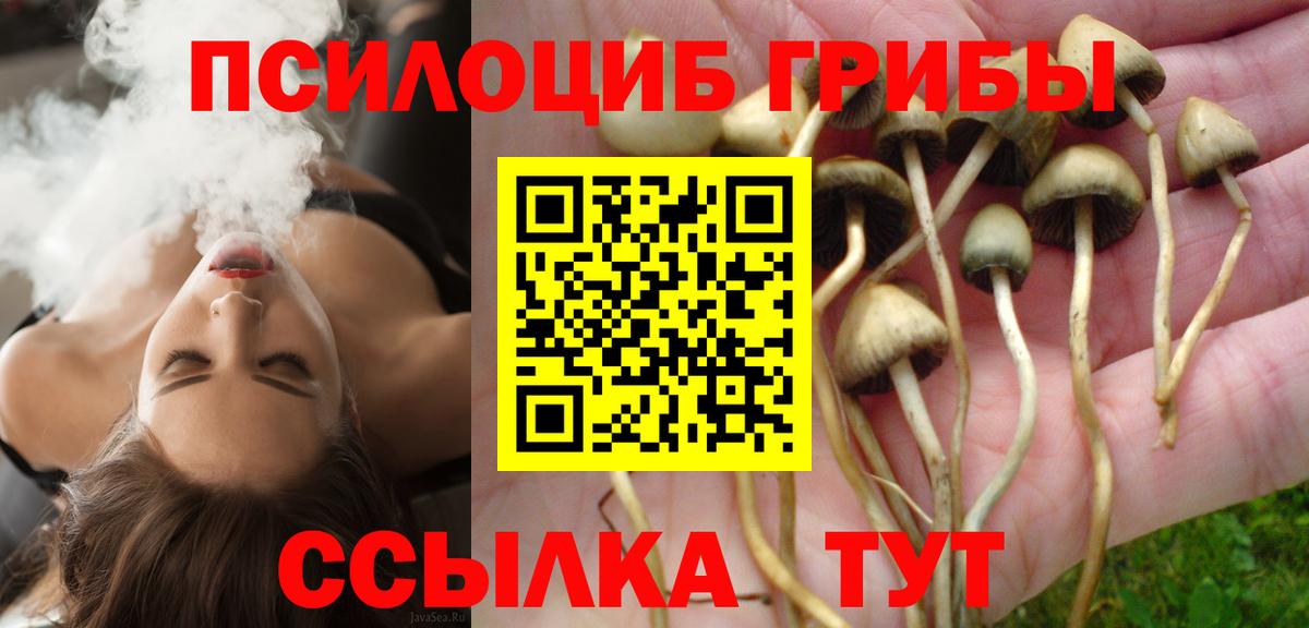Псилоцибиновые грибы GOLDEN TEACHER  Псилоцибиновые грибы мицелий  Серов  Вход с VPN 